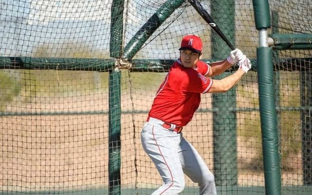 【MLB】大谷翔平が「さらに筋肉つけた？」　打撃練習動画での逞しい上腕筋にファン熱視線