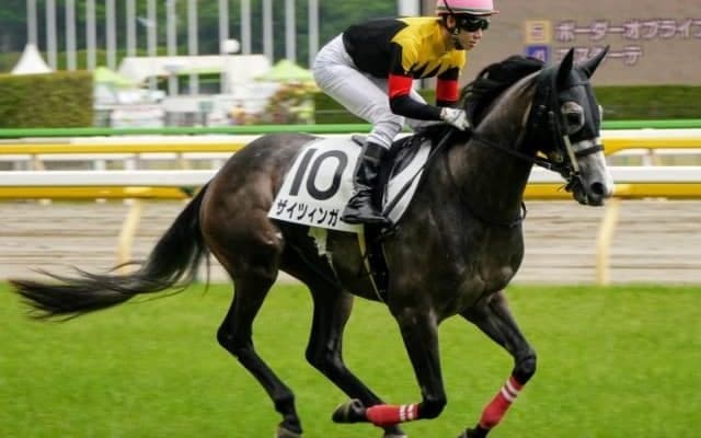 【阪急杯展望】高松宮記念に向けたステップレース、あの穴馬に注目