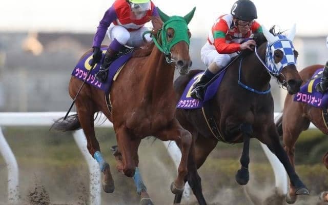 【浦和・ユングフラウ賞結果】ウワサノシブコがゴール前差し切り重賞初勝利！