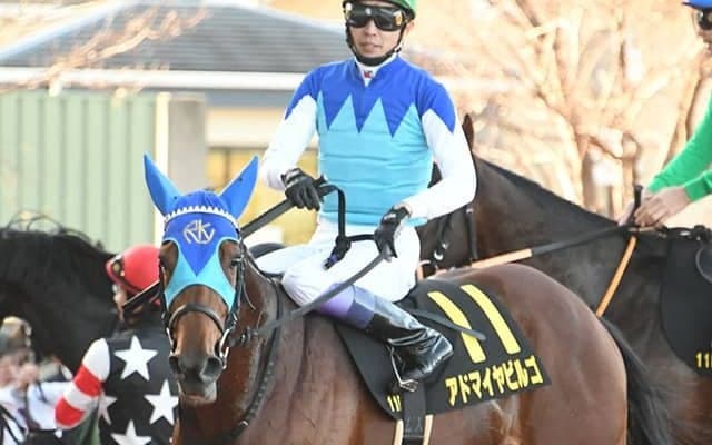 【次走】“6億円ホース”アドマイヤビルゴは大阪杯へ