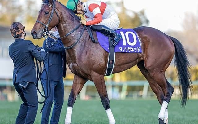 【弥生賞想定】3戦3勝のホープフルS覇者ダノンザキッド、2戦2勝シュネルマイスターなど