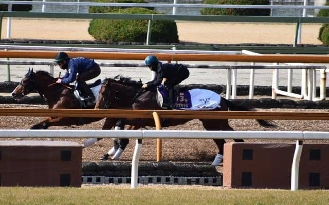 ダノンザキッド、弥生賞ディープインパクト記念1週前追い切り速報/栗東トレセンニュース
