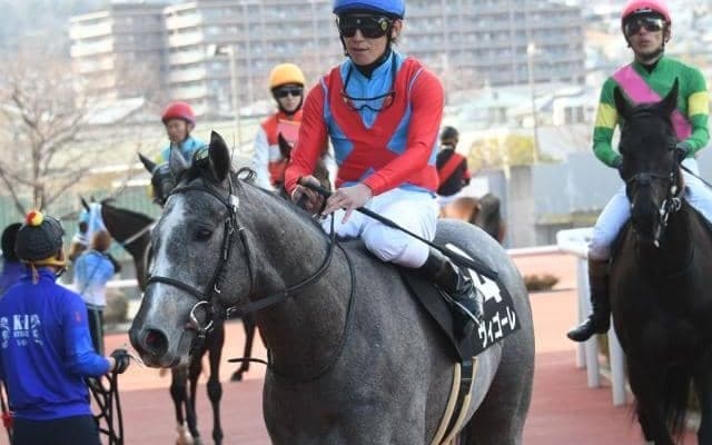 【次走】つばき賞で2勝目をあげたヴィゴーレはスプリングSへ