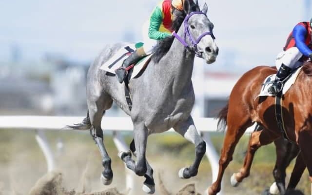 【若盛特別】ホエールキャプチャの仔トーセンマッシモが4勝目！