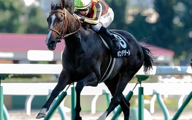 【JRA】重賞2戦連続3着のポンデザールが引退、繁殖入り