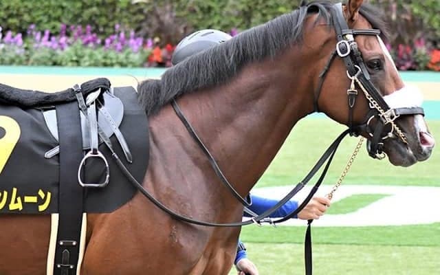 【中山記念】オウケンムーンは右後肢挫石のため回避