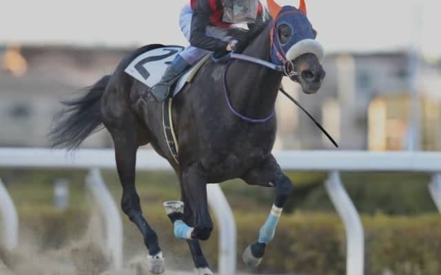 【向春特別】6番人気マーガレットスカイが快勝！ 断然人気プレシャスエースは8着