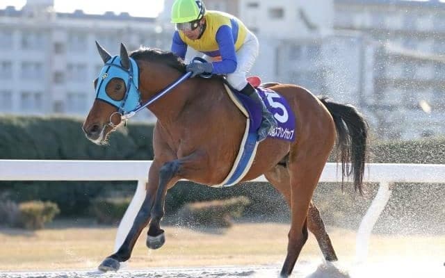 【名古屋・スプリングC結果】ブンブンマルが重賞連勝