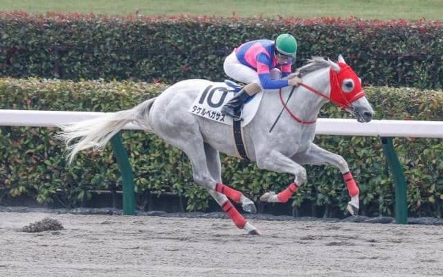 【ドバイ国際競走】タケルペガサスがUAEダービーの招待受諾