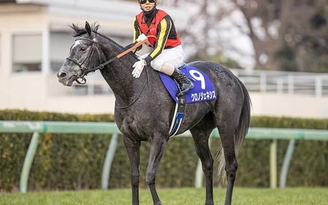 【次走】クロノジェネシス、ドバイSCの鞍上は引き続き北村友一騎手