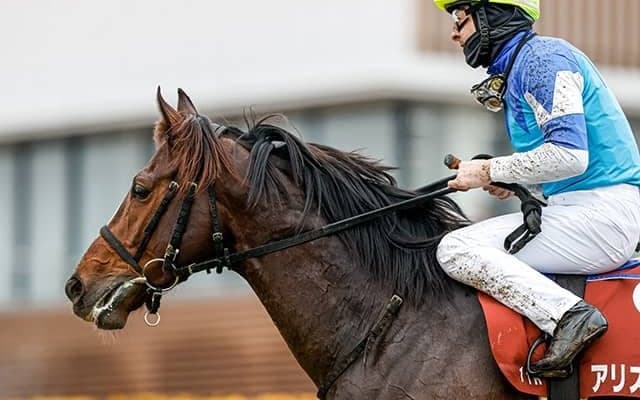 【次走】アリストテレスは引き続きルメール騎手とコンビで阪神大賞典へ