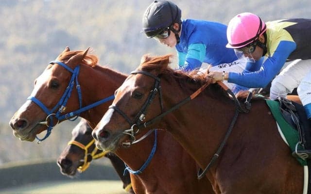 【小倉大賞典】11番人気 テリトーリアルがVで波乱！引退する西浦調教師に花を添える