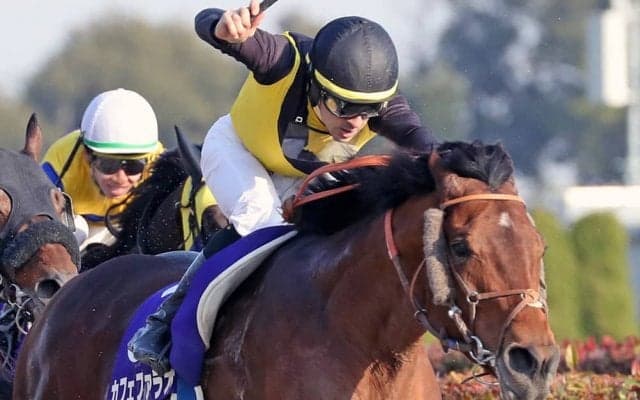 【フェブラリーS】ルメール「本当のカフェファラオでした」カフェファラオがG1初制覇