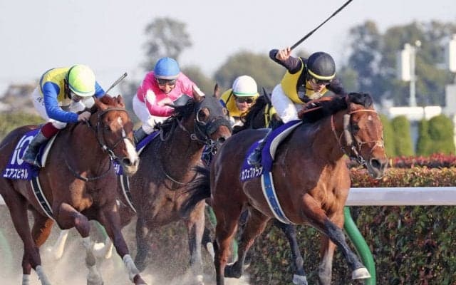 【フェブラリーS】武豊「折り合えば更に伸びた」レース後ジョッキーコメント