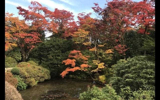 第726回　魅力度最下位は注目度最上位？　執筆者・松本考史