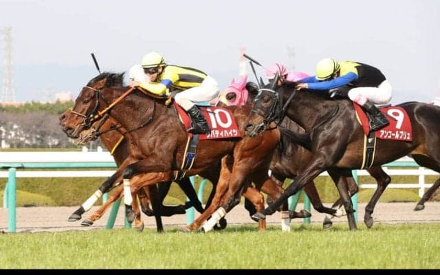 リバティハイツが競走馬登録抹消
