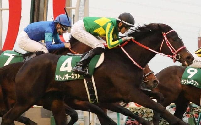 サトノガーネットが競走馬登録抹消