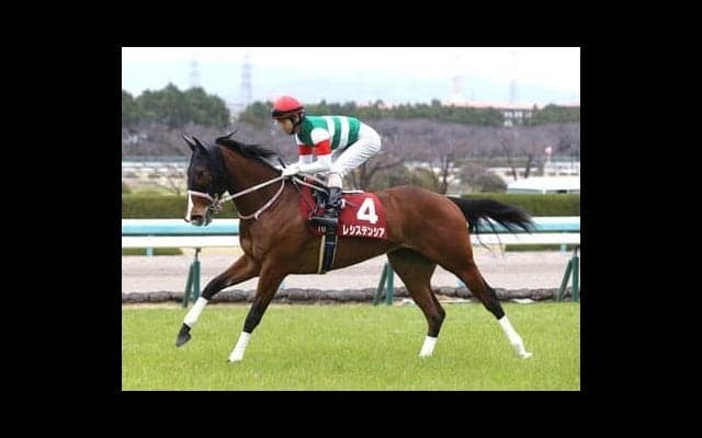 阪急杯は種牡馬の実績を重視。３つの共通点がある牝馬２頭が中心だ