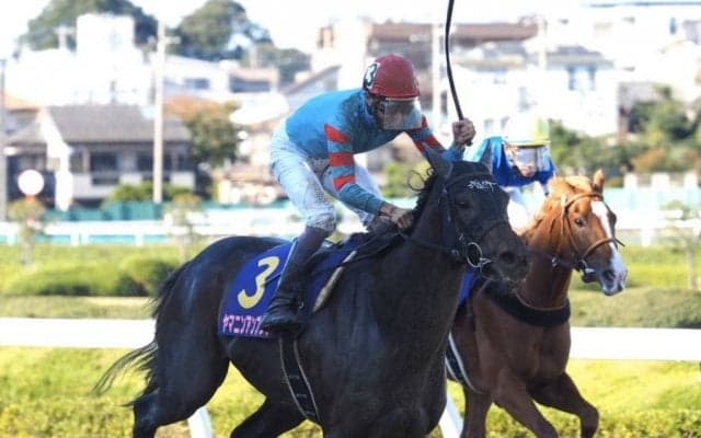 ヤマニンアンプリメが競走馬登録抹消