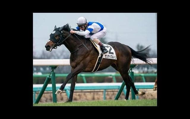 中山記念は勢いある若手騎乗の２頭が有力。穴は大ベテランが操る曲者