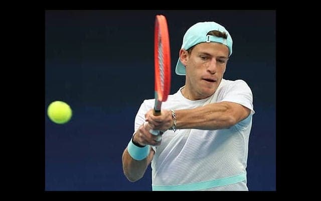  シュワルツマンは4強ならず 