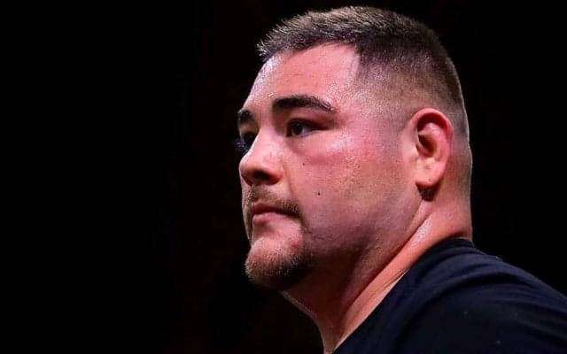 ぽっちゃり元ヘビー級王者がスリム化　激変ぶりに英メディア仰天「衝撃的な変身」