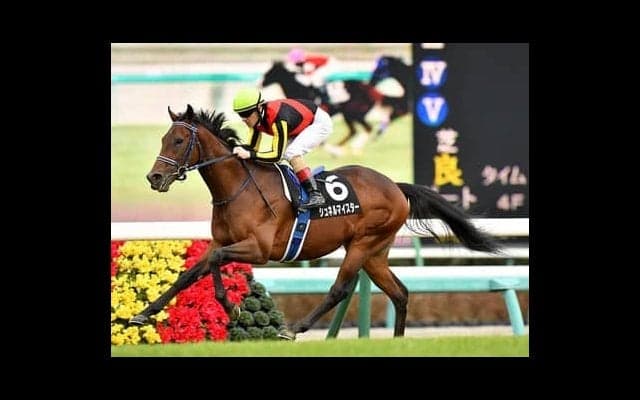 弥生賞でルメールが騎乗。ダノンザキッドに挑むシュネルマイスターの実力