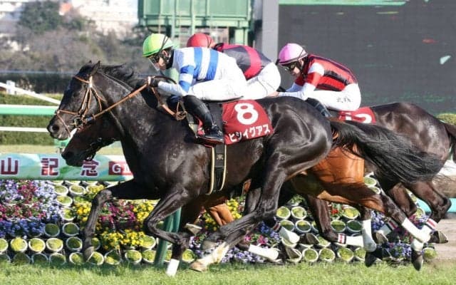 【中山記念】ヒシイグアスがV！蛯名正義ラスト騎乗は4着