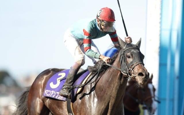 【先週のJRA抹消馬】JpnI勝利のヤマニンアンプリメ、サトノクラウンの半妹ポンデザールなど