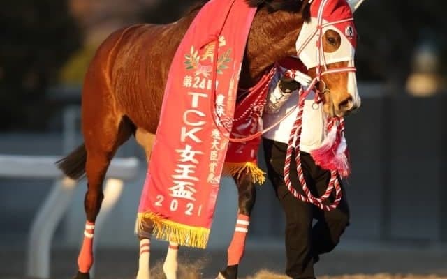 【川崎・エンプレス杯枠順確定】マルシュロレーヌは大外8枠11番、プリンシアコメータは5枠5番