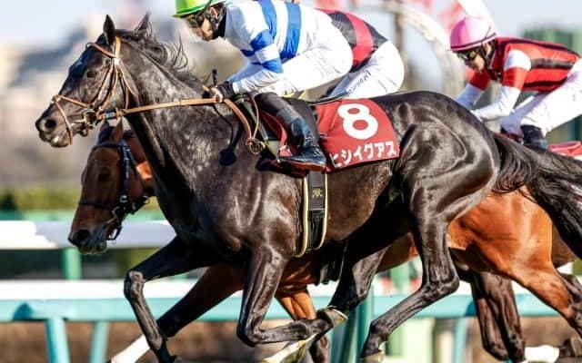 【中山記念】売上は62億1864万1100円で昨年から増加　ヒシイグアスがV