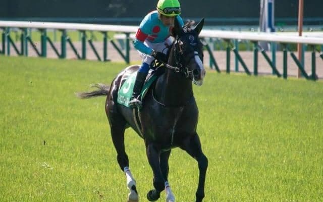 【JRA】トリコロールブルーが予後不良に、28日の調教中に粉砕骨折