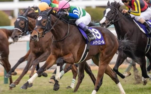 【チューリップ賞見どころ】メイケイエールが重賞3勝目を狙う