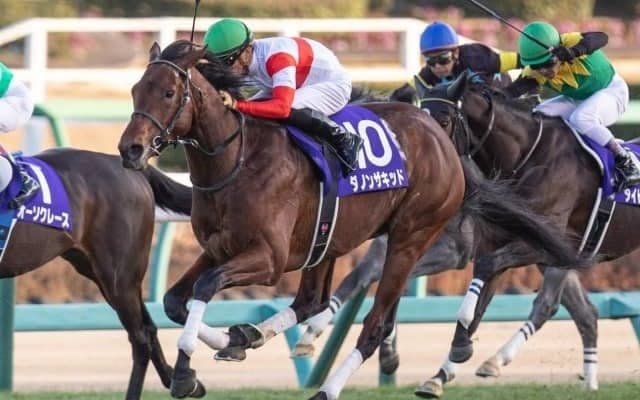 【弥生賞ディープ記念見どころ】無傷のGI馬ダノンザキッドが始動