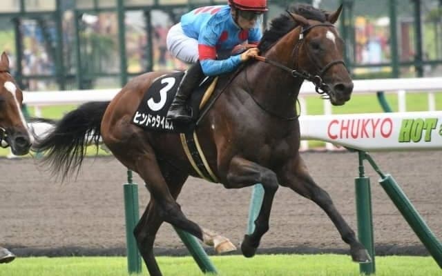 【大阪城Sハンデ確定】ヒンドゥタイムズは56kg、サトノフェイバーは57kg