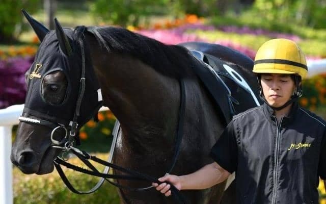 【地方競馬】川崎の内田勝義調教師が通算1300勝を達成、川崎5Rでシンキングタイムが勝利