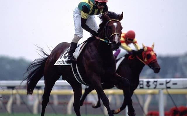 ジャングルポケットが死亡　2001年のダービー馬、ジャパンCではテイエムオペラオーを破る