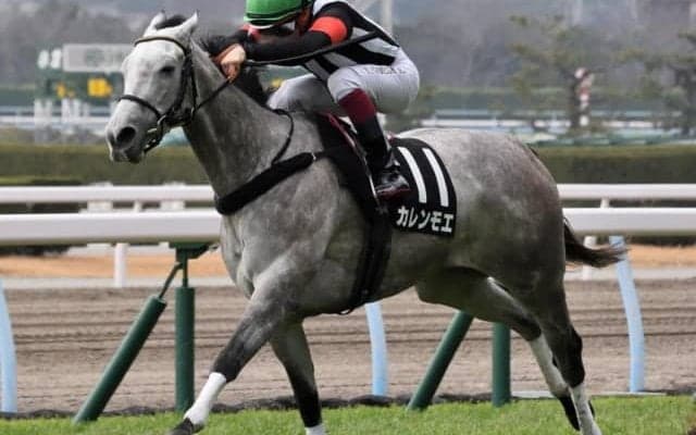 【オーシャンS予想オッズ】重賞初V狙うカレンチャンの娘カレンモエが人気の中心