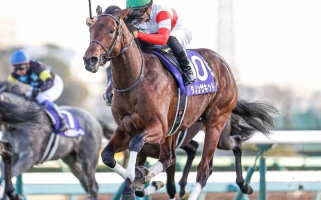 【弥生賞ディープ記念 予想オッズ】ダノンザキッドが断然人気、続くのはシュネルマイスター