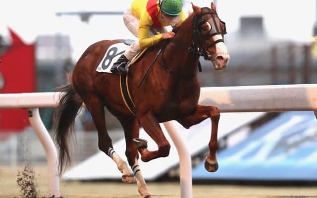 【日吉OP】9番人気の伏兵ロードヴァンドールが押し切って地方初勝利！ 佐々木仁調教師は通算800勝達成