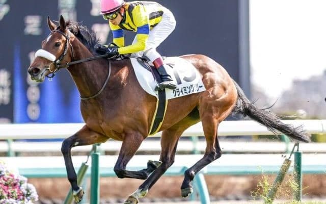 【次走】クライミングリリーはフローラSに向かう見込み　全兄は重賞馬ギベオン