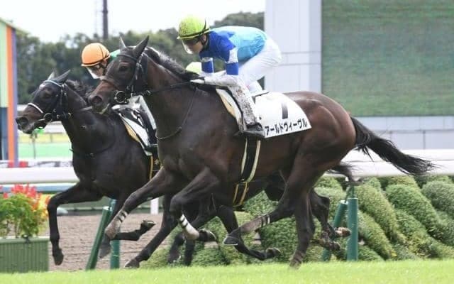 【次走】アールドヴィーヴルは引き続き松山弘平騎手とのコンビで桜花賞へ