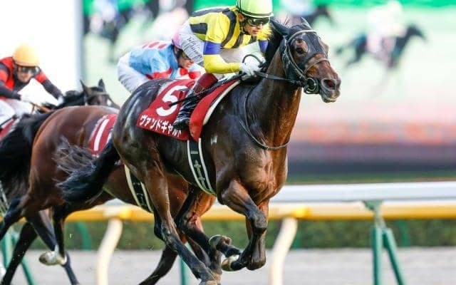 【次走】ヴァンドギャルドはC.デムーロ騎手とのコンビでドバイターフへ