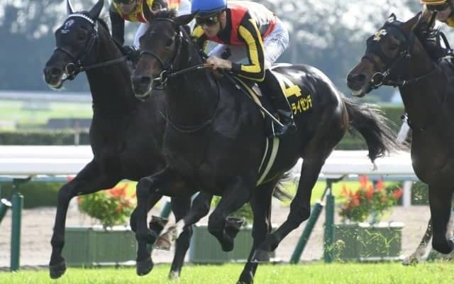 日本ダービー3着のヴェルトライゼンデが屈腱炎で長期休養に