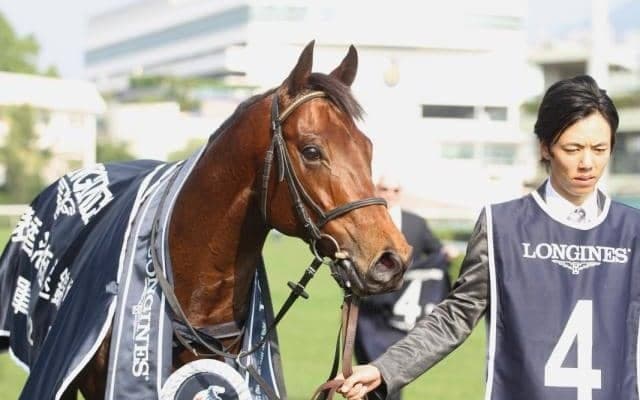 【海外競馬】オーストラリアのセールでロードカナロア産駒が90万豪ドルで落札