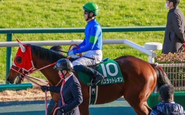 【次走】シンザン記念3着のバスラットレオンと新人女性騎手・古川奈穂騎手が新コンビ