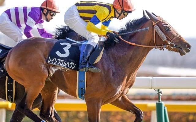 【弥生賞ディープ記念】レインフロムヘヴンが回避
