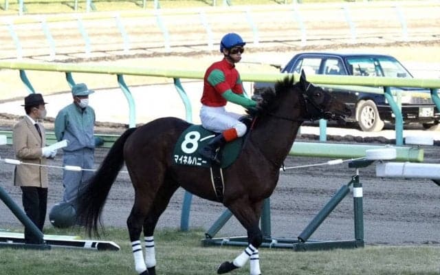 マイネルハニーが競走馬登録抹消