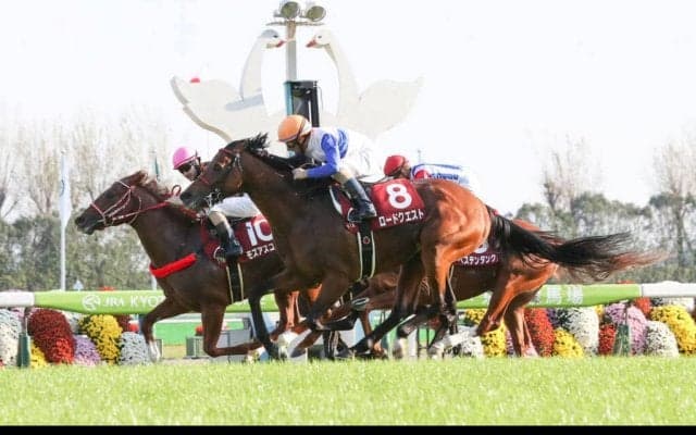 ロードクエストが競走馬登録抹消