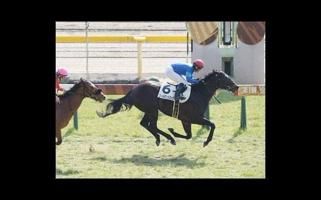 弥生賞のダノンザキッドは絶対か。「否」と言う穴党記者が推す伏兵２頭